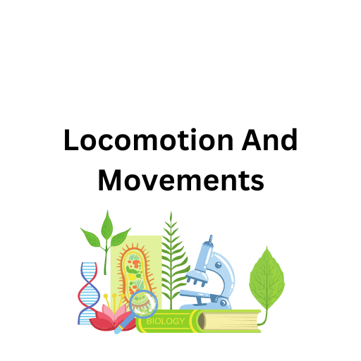 Locomotion And Movements